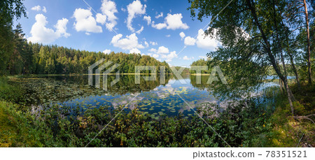Summer day on remote calm lake in a boreal forest panorama 78351521
