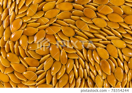 Natural Orange Goliath Pumpkin Seed Spiral Abstract Natural Orange Goliath Pumpkin Seed Spiral Abstract 78354244