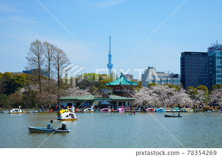 Shinobazu Pond @ Sky Tree in Ueno in full bloom Shinobazu Pond @ Sky Tree in Ueno in full bloom 78354269