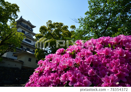 From Imabari Castle 78354372