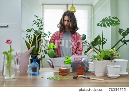 Green eco hobby of young male, teenager showing plant, soil, pot Green eco hobby of young male, teenager showing plant, soil, pot 78354755