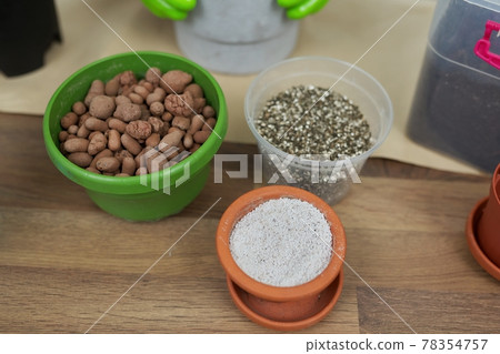 Houseplants, green eco urban trends. Close-up care of indoor plants 78354757