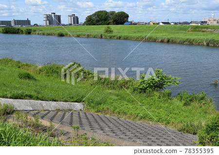 Kokai River Tone 河流域 Kokai River Tone 河流域 78355395
