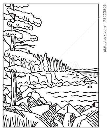 Acadia National Park Along the Atlantic Coast on Mount Desert Island Located in Maine Mono Line or Monoline Black and White Line Art 78355896