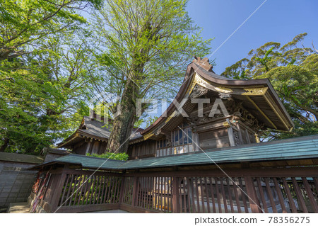 Maka Takashi Shrine Maka Takashi Shrine 78356275