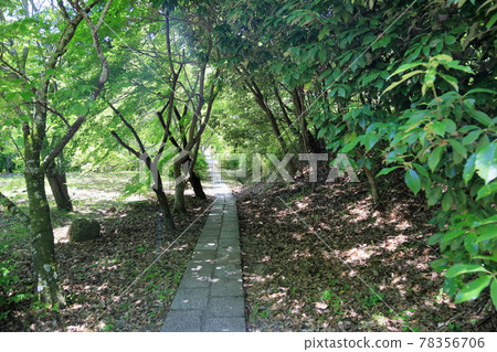 Momiji Blue 78356706