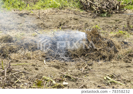 It looks like weeds are burning in the field. Open burning It looks like weeds are burning in the field. Open burning 78358232