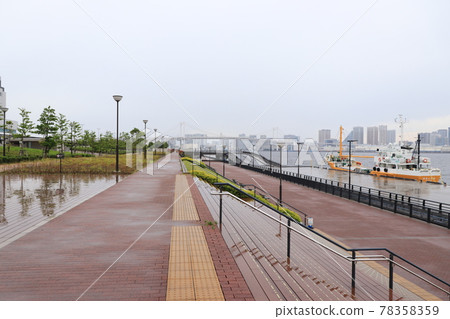 雨季的豐洲Gururi公園 78358359