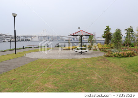 雨季的豐洲Gururi公園 雨季的豐洲Gururi公園 78358529