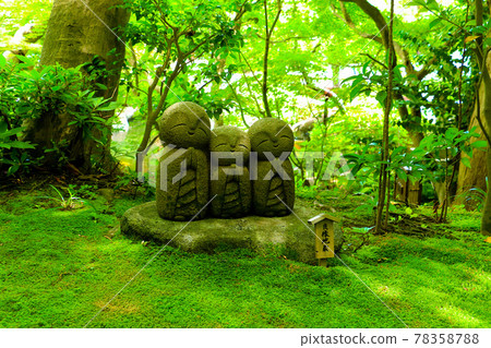 Ryozo jizo of Hasegaji Ryozo jizo of Hasegaji 78358788
