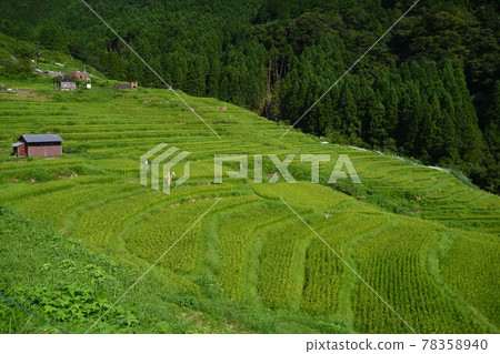 Ride Kinan Maruyama Senhita on a motorcycle. 78358940
