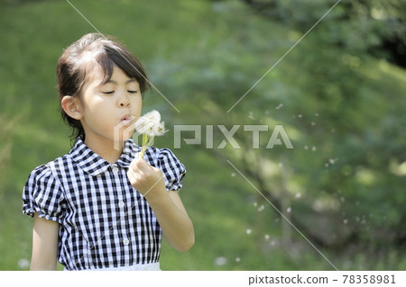 Elementary school girl playing dandelions (6 years old) Elementary school girl playing dandelions (6 years old) 78358981