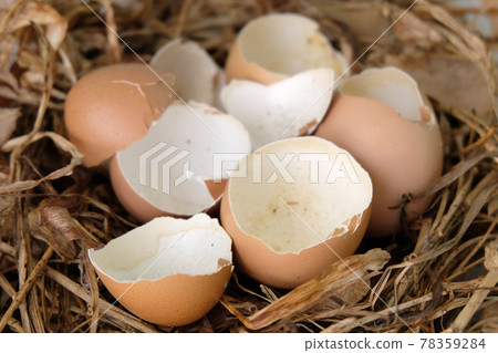 Broken eggs on dry grass Broken eggs on dry grass 78359284
