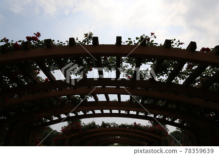 Daejeon Metropolitan City. Hanbat Arboretum. Ecosystem. Hydrangea. Rose. Lake. Palgakjeong 78359639