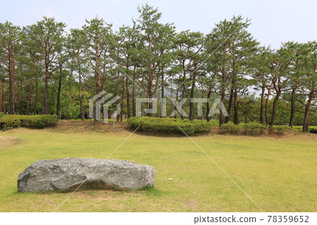大田廣域市.大田植物園.生態系.繡球花.玫瑰.湖.八角亭 大田廣域市.大田植物園.生態系.繡球花.玫瑰.湖.八角亭 78359652