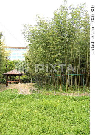 大田市竹雕塑園。 78359812