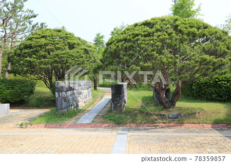 大田市竹雕塑園。 78359857