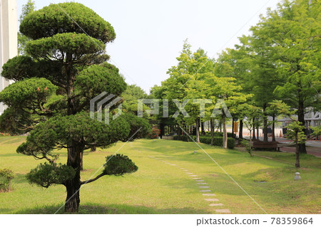 大田市竹雕塑園。 78359864