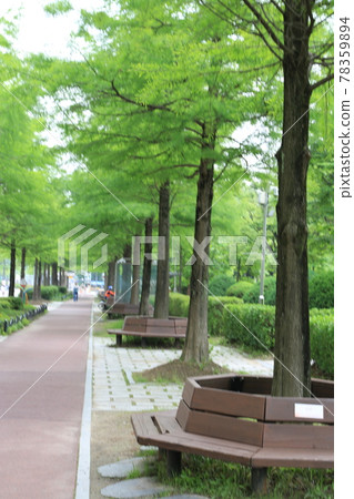 大田市竹雕塑園。 78359894