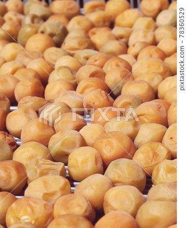 It is a landscape of making pickled plums at farmers in Kishu, Ogose, and autumn. It is a landscape of making pickled plums at farmers in Kishu, Ogose, and autumn. 78360529