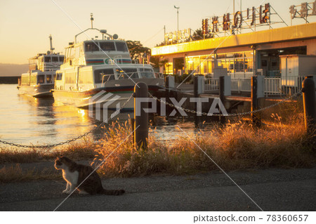 Evening view of Hikone Port and cats in Hikone City, Shiga Prefecture Evening view of Hikone Port and cats in Hikone City, Shiga Prefecture 78360657