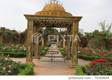 Hanbat Arboretum. Daejeon Metropolitan City. Hydrangea. Rose. Tree Hanbat Arboretum. Daejeon Metropolitan City. Hydrangea. Rose. Tree 78360694