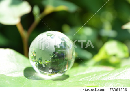 Glass Earth, Eco Image 78361338