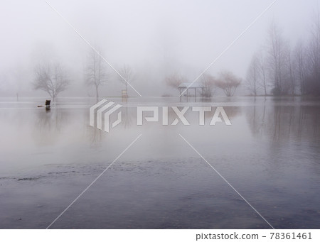 Snoqualmie river floods the park in Duvall, Washington 78361461
