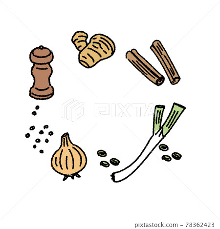胡椒、姜、肉桂、蔥和洋蔥的插圖 胡椒、姜、肉桂、蔥和洋蔥的插圖 78362423