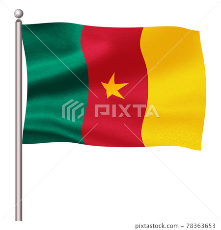 Cameroon national flag icon 78363653