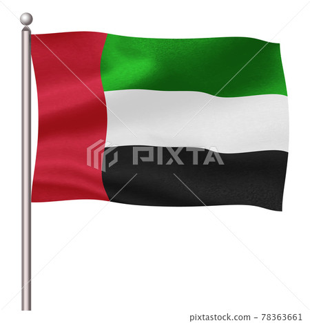 United Arab Emirates flag icon 78363661