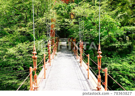 我們的山谷大壩 我們的山谷大壩 78363827