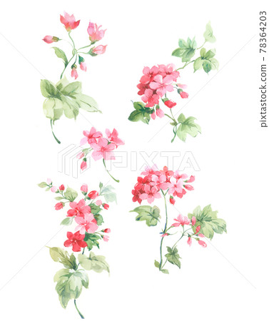 色彩豐富的花卉素材組合和設計元素 色彩豐富的花卉素材組合和設計元素 78364203