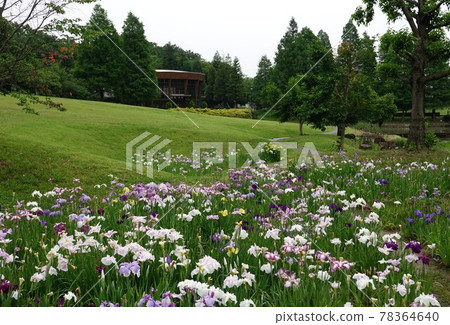 大台公園花收部 大台公園花收部 78364640