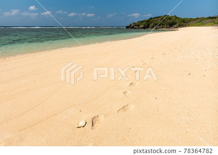 Footprints of a person on the paradise beach sand. Footprints of a person on the paradise beach sand. 78364782
