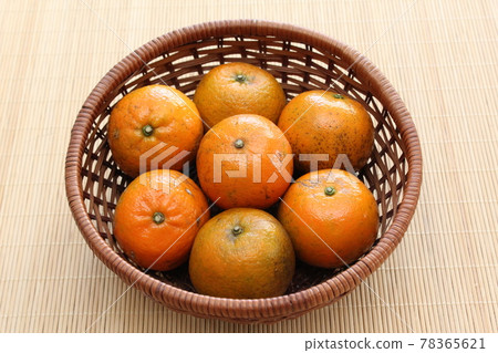 沖繩短觀 78365621