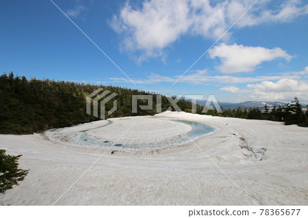 八幡平龍眼(鏡沼)2021 八幡平龍眼(鏡沼)2021 78365677