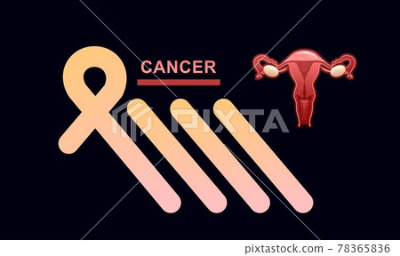 banner female genital organ uterus banner female genital organ uterus 78365836
