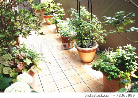 Photographs of enjoying gardening on the balcony of an apartment 78365999