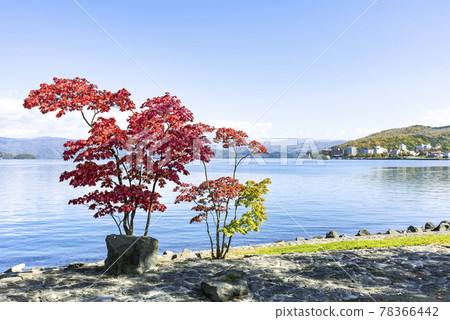 洞爺湖洞爺湖溫泉鎮洞爺湖鎮 78366442