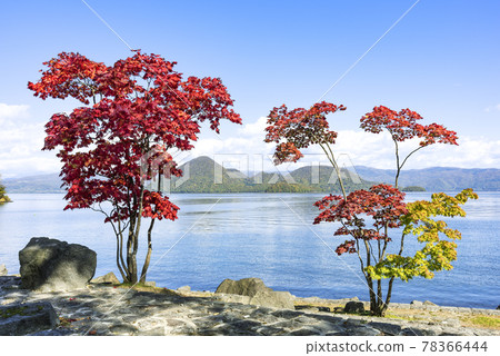 洞爺湖,洞爺湖 洞爺湖,洞爺湖 78366444