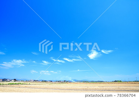 Tsukushi Plain of Mugiaki Tsukushi Plain of Mugiaki 78366704