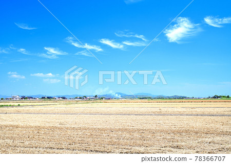 Tsukushi Plain of Mugiaki Tsukushi Plain of Mugiaki 78366707