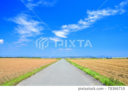 Mugiaki 筑紫平原 Mugiaki 筑紫平原 78366710