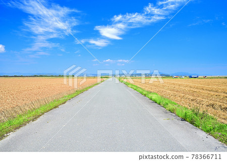 Mugiaki 筑紫平原 Mugiaki 筑紫平原 78366711