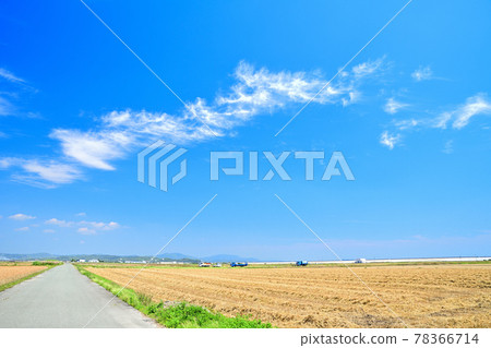 Mugiaki 筑紫平原 78366714