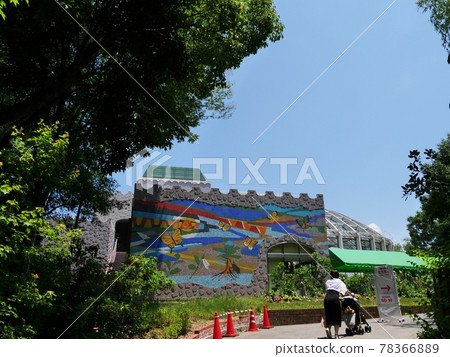 Osaka Itami Koyaike Park Itami City Insectarium (early summer) 78366889