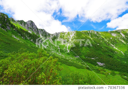 夏季Senjyo Kiki捲髮 78367336