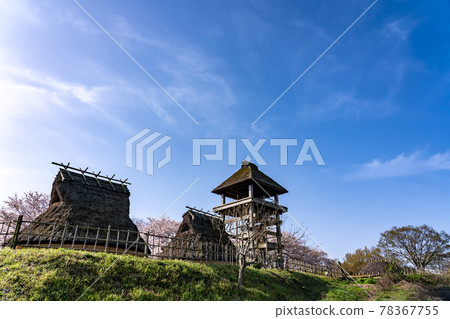 鳥取縣米子市春季北子代之岡公園的北子代之岡古墓和修復的高蹺建築 78367755