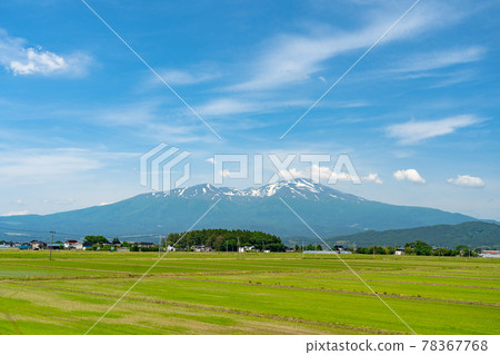 山形縣坂田市初夏的鳥海山（出羽富士）和休耕地 78367768